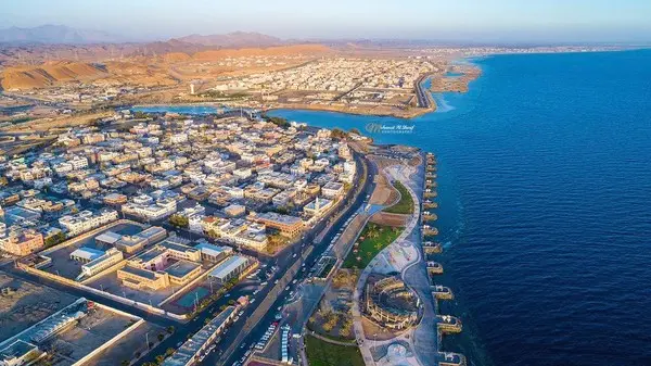 ضباء
